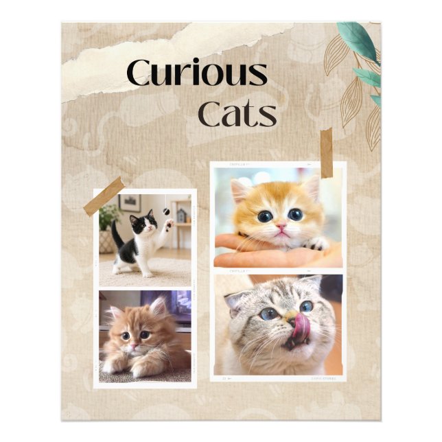 Foto Colagem de Gatos Curiosos (Frente)