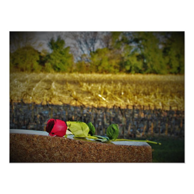 Foto "Colheita de Bênçãos" (Frente)