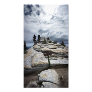Foto Colheita de Nuvens - Yosemite