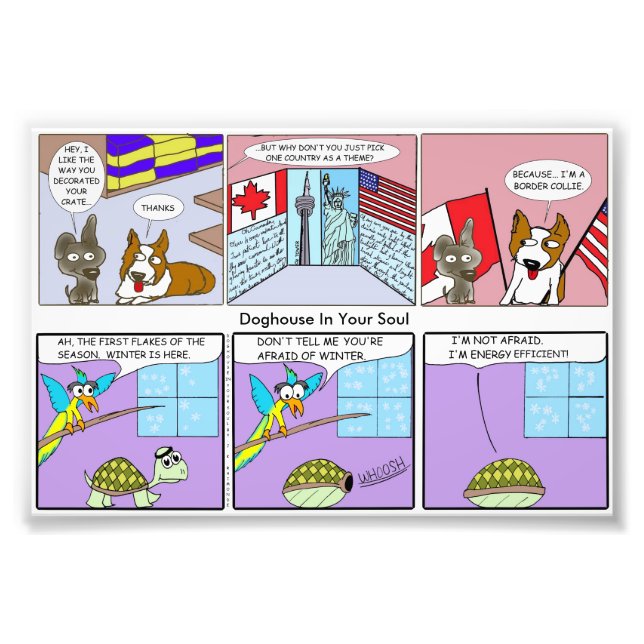 Foto Collie de bordas/Eficiência no uso de energia (Frente)