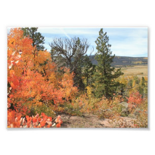 Foto Colorado alaranjado Aspen