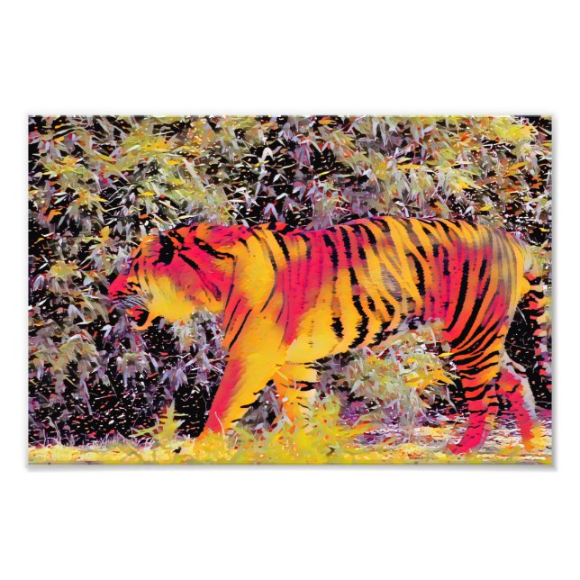 Foto Colorida Tiger (Frente)