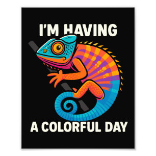 Foto Colorido Camaleão Lizard Life Rainbow Réptil