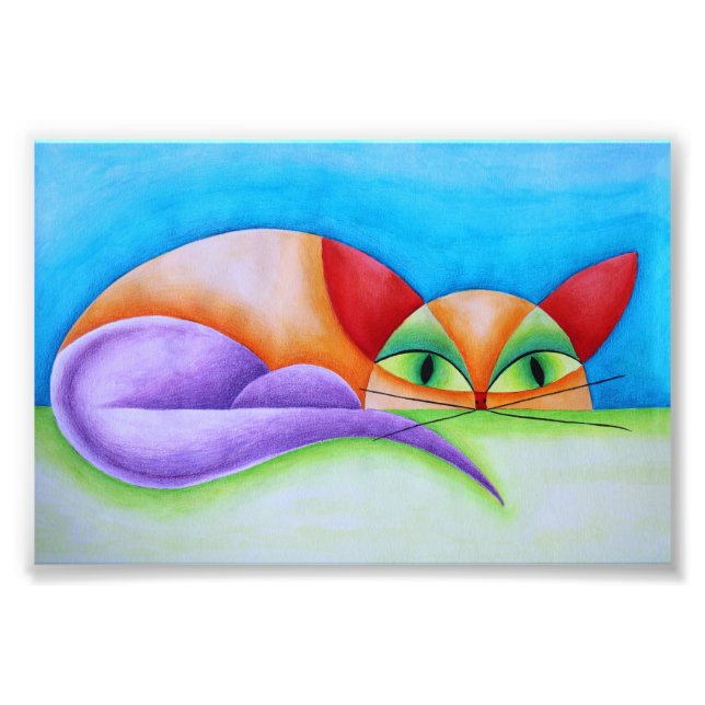 Foto Colorido gato (Frente)