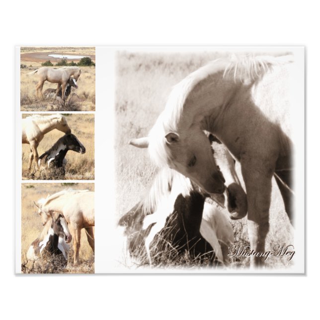 Foto Colunas serão Colunas - Colagem Mustang (Frente)