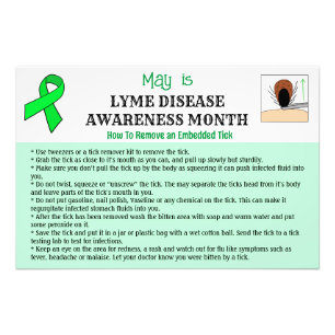 Foto Como remover um tick educacional