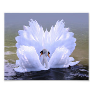 Foto Como um, cisnes por Danny Hahlbohm