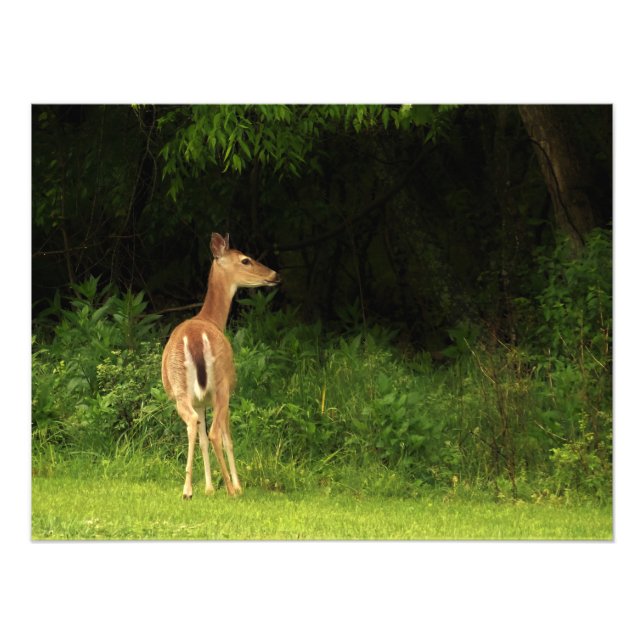 Foto Consideração cuidadosa (Frente)