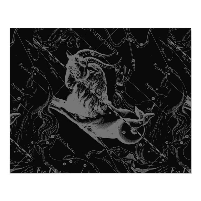 Foto Constelação de Capricórnio Hevelius 1690 a Preto (Frente)