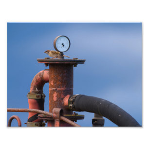 Foto Controlo da pressão de ar antes de decolar!