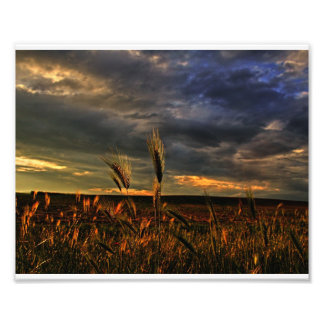 Foto Conversa com o vento