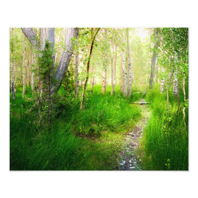 Foto Convict Lake Aspens and Lush Grass Photo Wall Art (Frente)