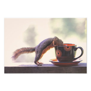 Foto Copo do esquilo e de café
