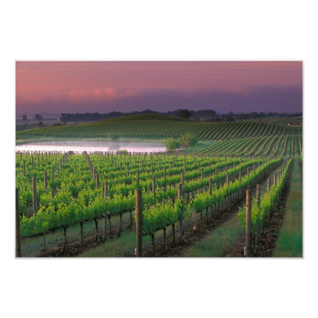 Foto Cor da alvorada na névoa distante atrás (Frente)