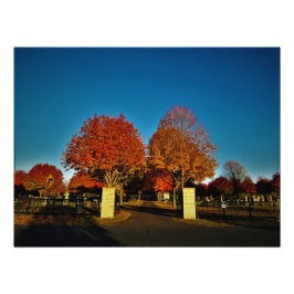 Foto "Cores Corintianas"