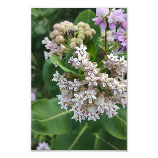 Foto Cores de início (Frente)