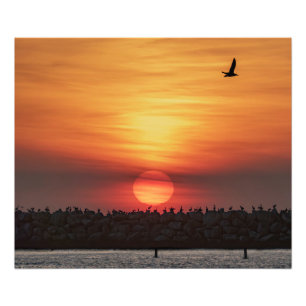 Foto Cores de Pôr do Sol Lindas - Marina Del Rey, CA