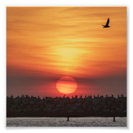 Foto Cores de Pôr do Sol Lindas - Marina Del Rey, CA
