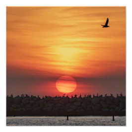 Foto Cores de Pôr do Sol Lindas - Marina Del Rey, CA
