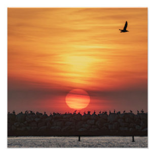 Foto Cores de Pôr do Sol Lindas - Marina Del Rey, CA