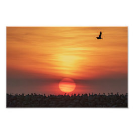 Foto Cores de Pôr do Sol Lindas - Marina Del Rey, CA