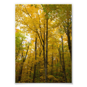 Foto Cores de queda, Munising, Michigan