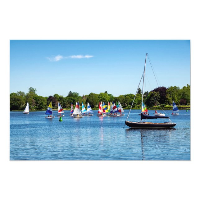 Foto Cores de Verão (Frente)