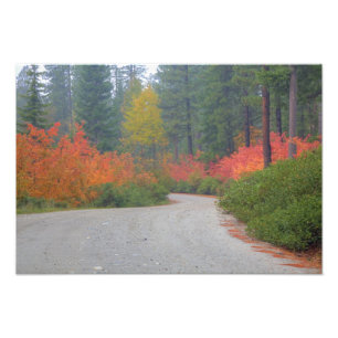 Foto Cores do outono de Florestas em Cascata