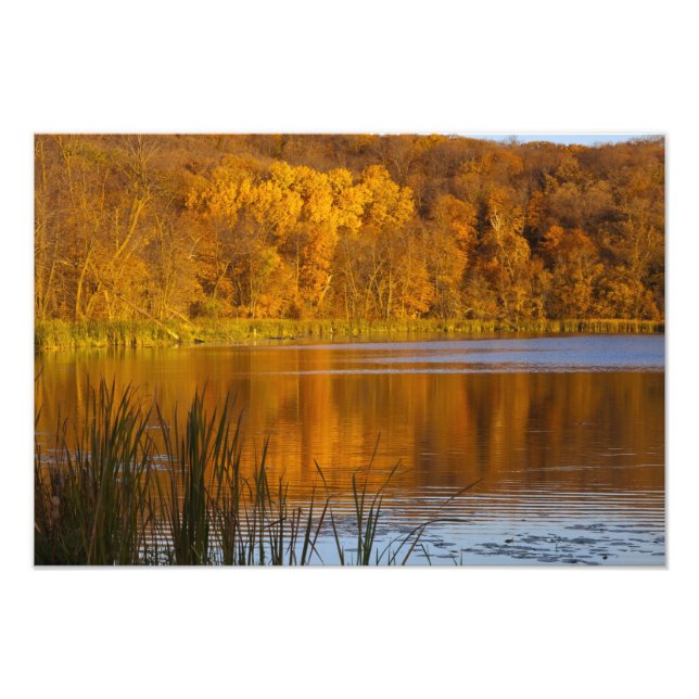 Foto Cores do outono em Maplewood State Park perto (Frente)