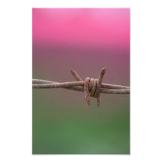 Foto Cores Nítidas.