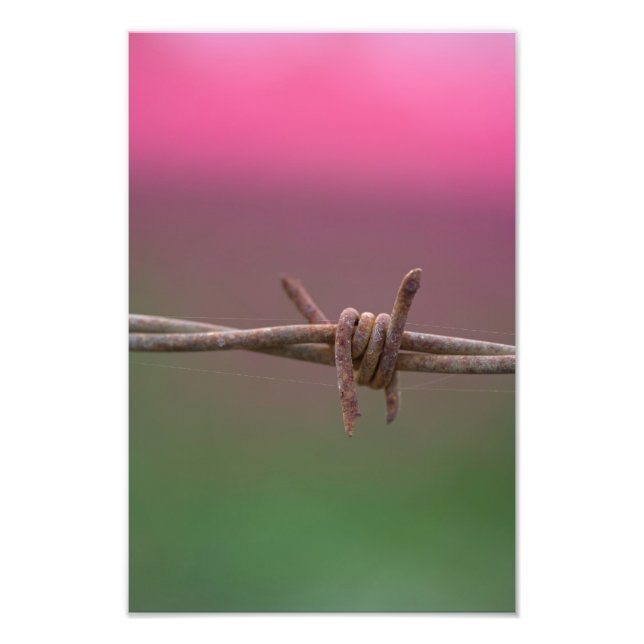 Foto Cores Nítidas. (Frente)