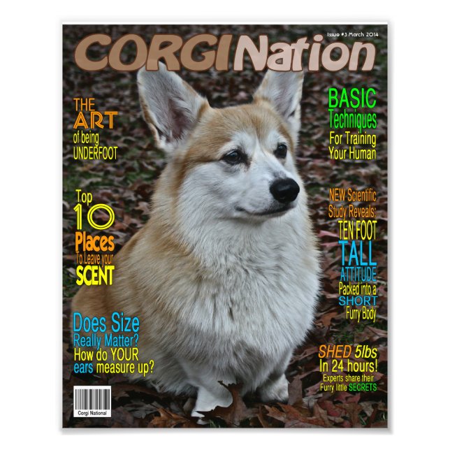 Foto Corgi Nation Magazine (Impressão personalizável) (Frente)