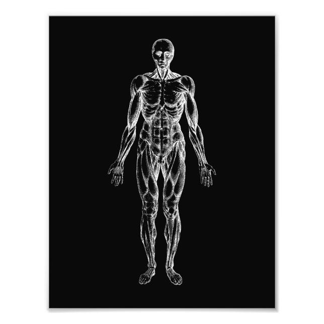 Foto Corpo humano, anatomia masculina preto e branco (Frente)