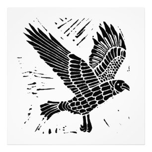 Foto Corte de Raven Lino Voador Negro e Branco