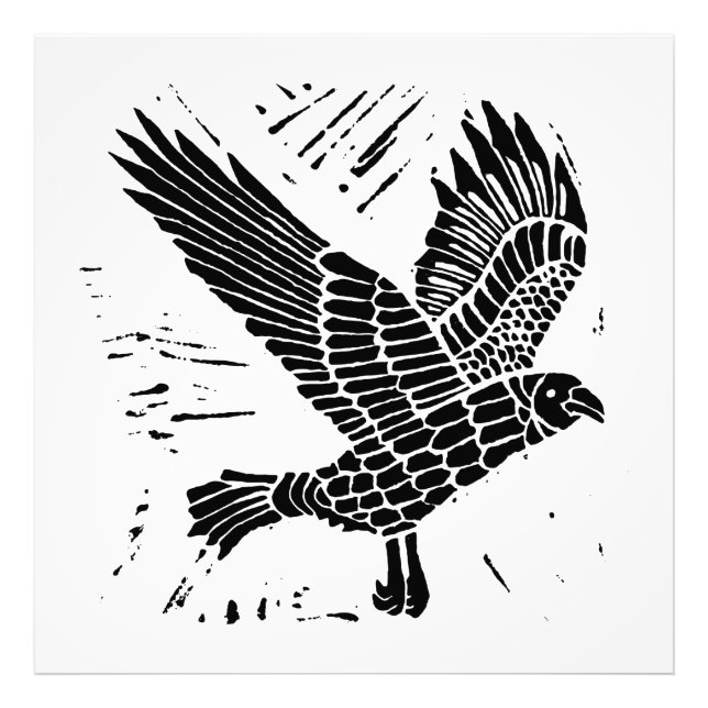 Foto Corte de Raven Lino Voador Negro e Branco (Frente)