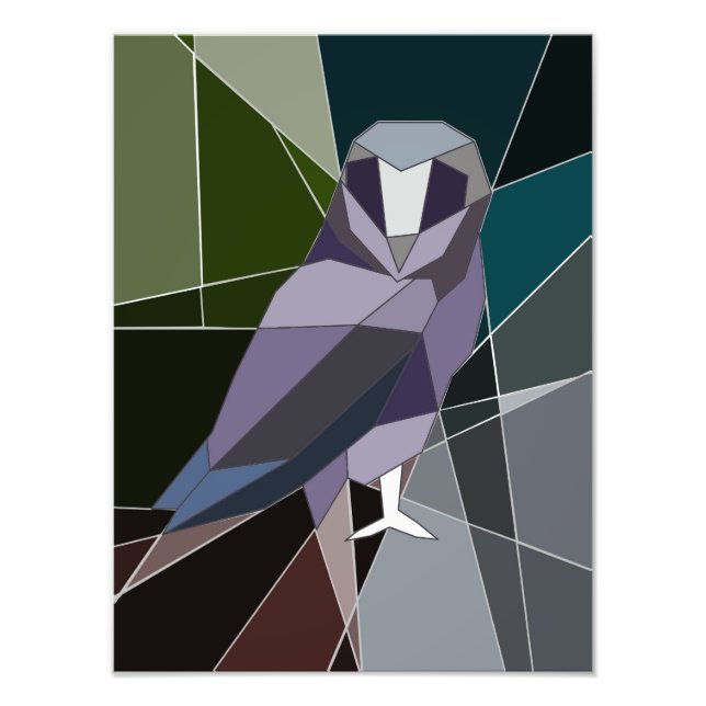 Foto coruja (Frente)