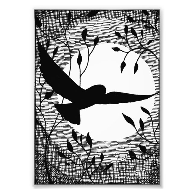 Foto Coruja e Lua Cruzados Atingidos (Frente)