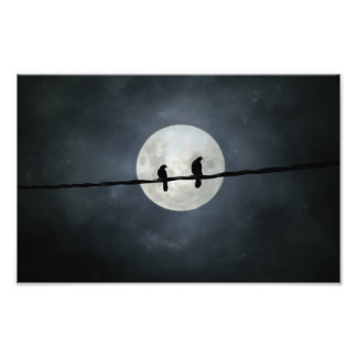 Foto Corvos Amarrados Pela Lua De Escorrega
