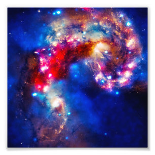 Foto Cosmos coloridos