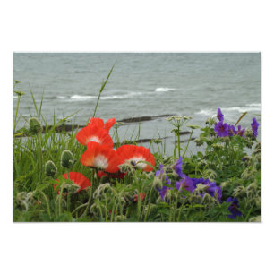Foto Costa da flor selvagem