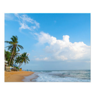 Foto Costa Tropical de Praia e Palmeiras Vista para o O