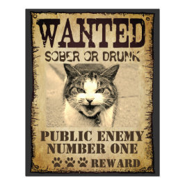 Foto Costume engraçado queria poster