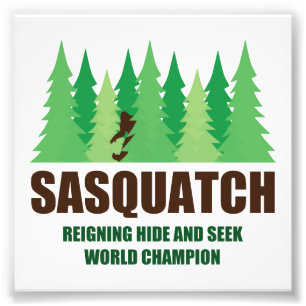 Foto Couro cru de Bigfoot Sasquatch - e - procure o