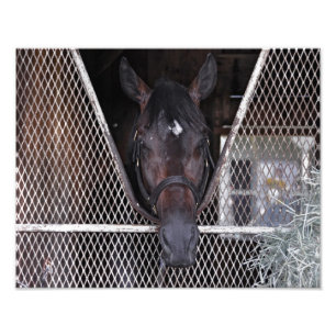 Foto Cozmic um em Saratoga histórico