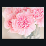 Foto Cravos Rosa<br><div class="desc">Os cravos cor-de-rosa bonito fecham a fotografia.</div>