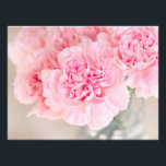 Foto Cravos Rosa<br><div class="desc">Os cravos cor-de-rosa bonito fecham a fotografia.</div>