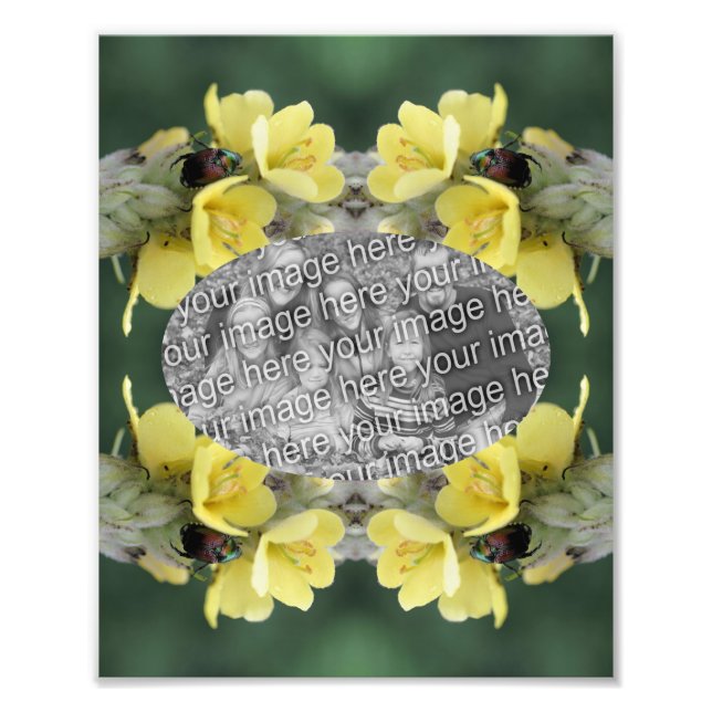 Foto Crie seu próprio besouro multiuso Quadro de flores (Frente)