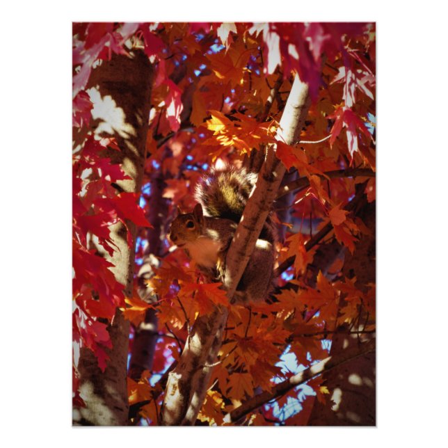 Foto "Critério Colorido" (Frente)