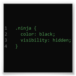 Foto CSS Coding Ninja