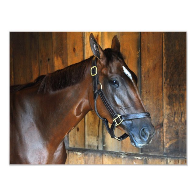 Foto Curalina (Frente)